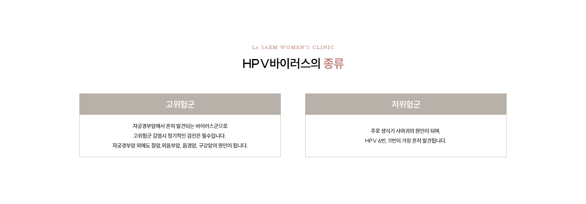인유두종바이러스(HPV) 02