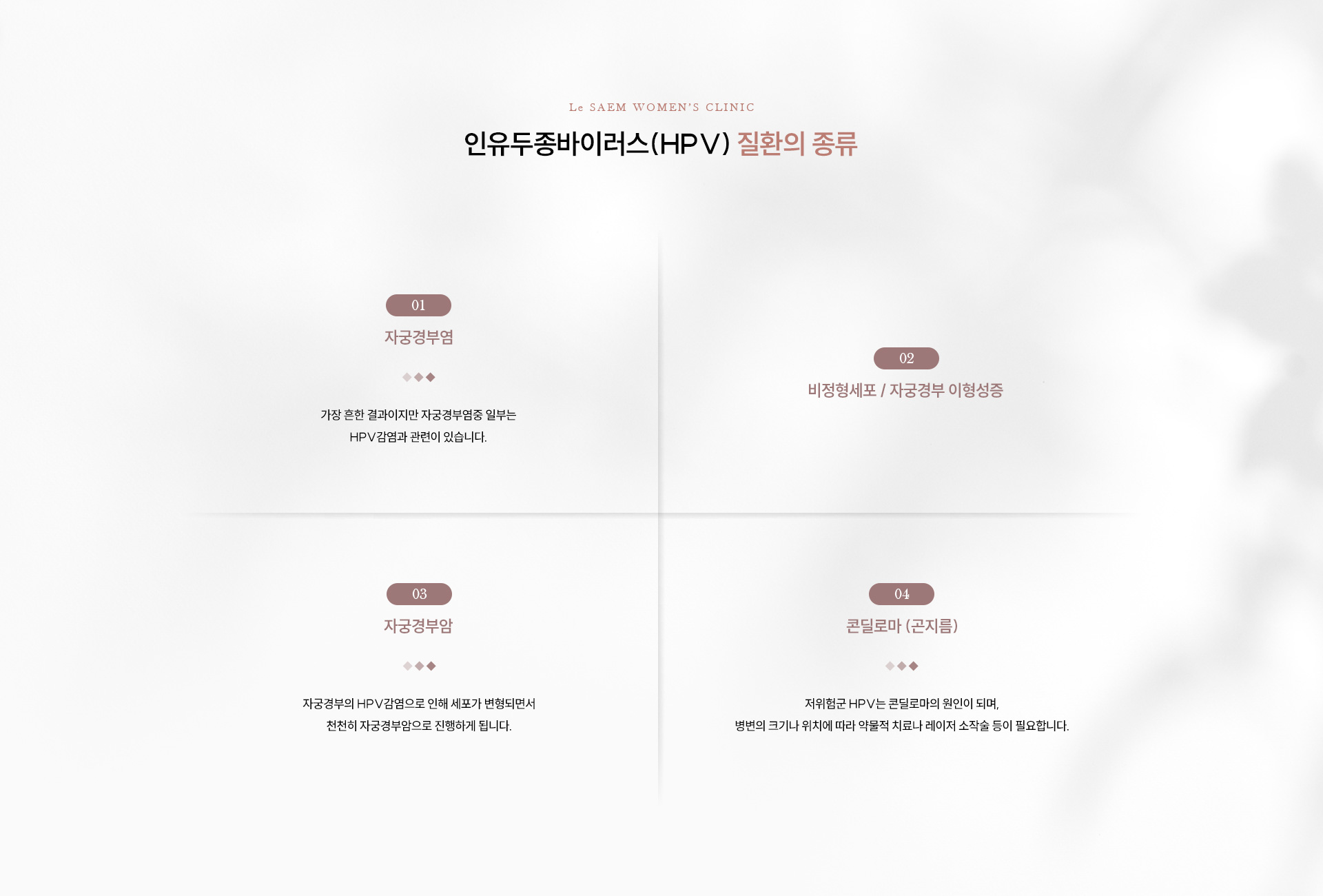 인유두종바이러스(HPV) 03